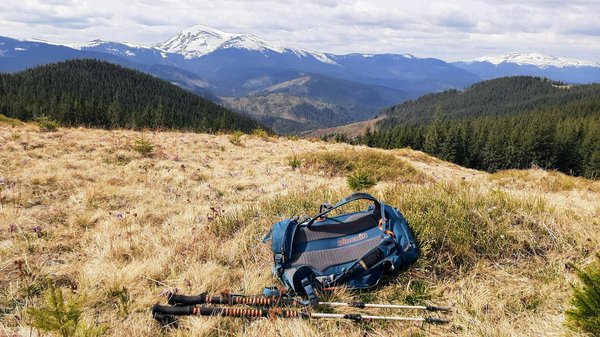 Discover the Best UK National Parks for In-Depth Wildlife Tours and Native Habitat Exploration!