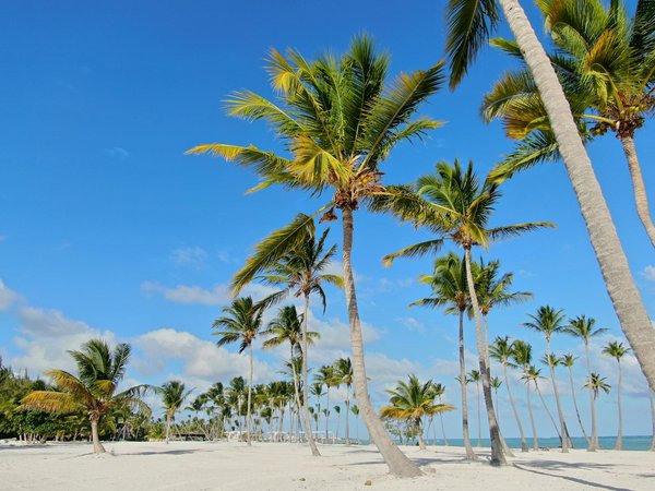 Uncover affordable haunting experiences in edinburgh: the definitive guide to budget ghost tours